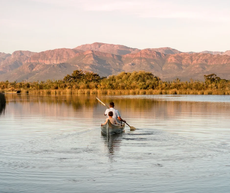What to do in the Winelands