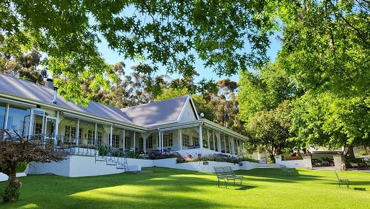 La Petite Ferme wine estate in Franschhoek