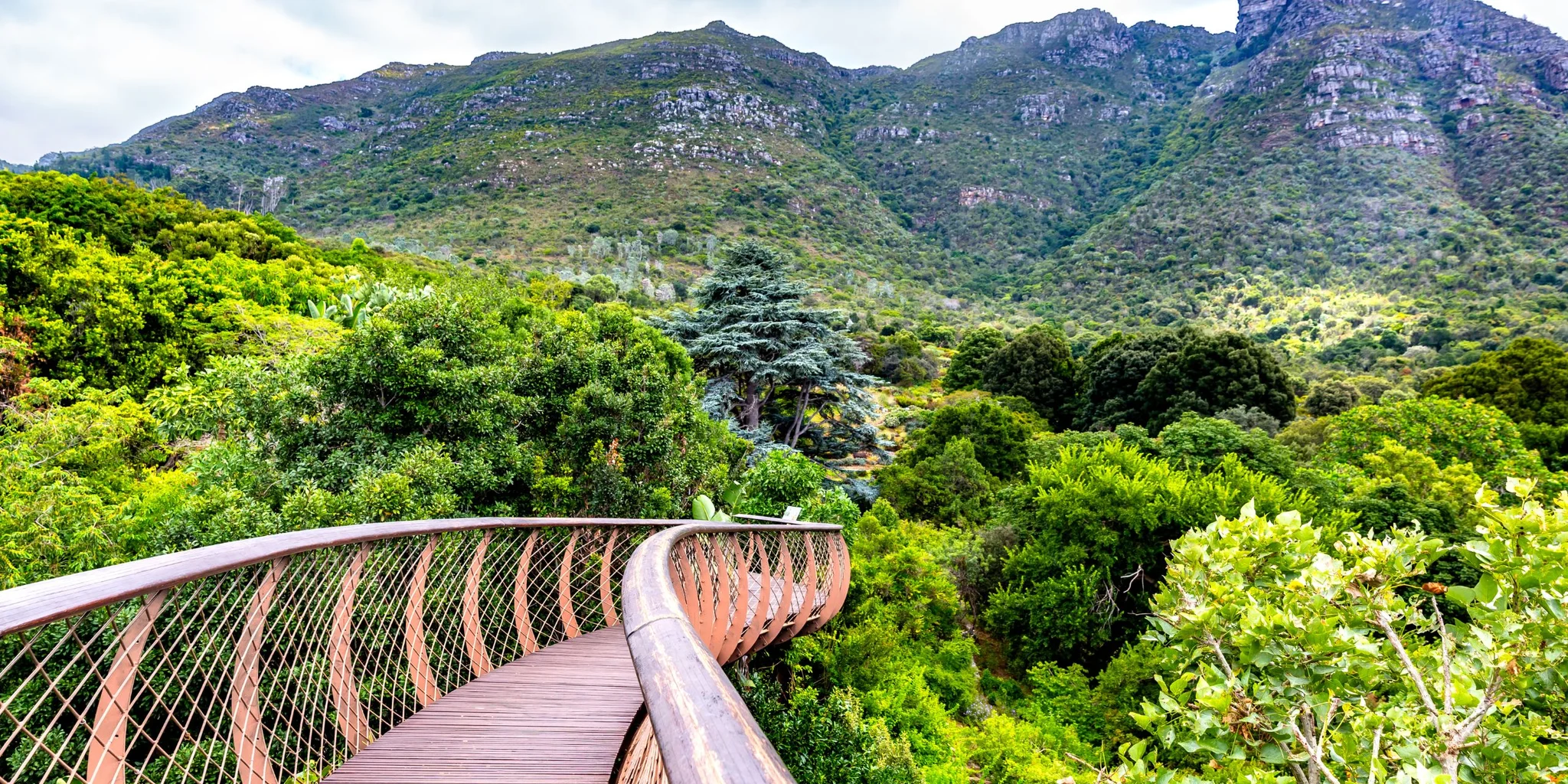 Best Time To Visit Cape Town