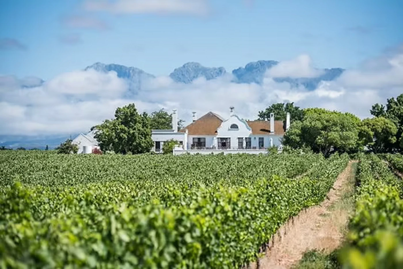 Excelsior Wine Estate — Robertson wine estate, Western Cape
