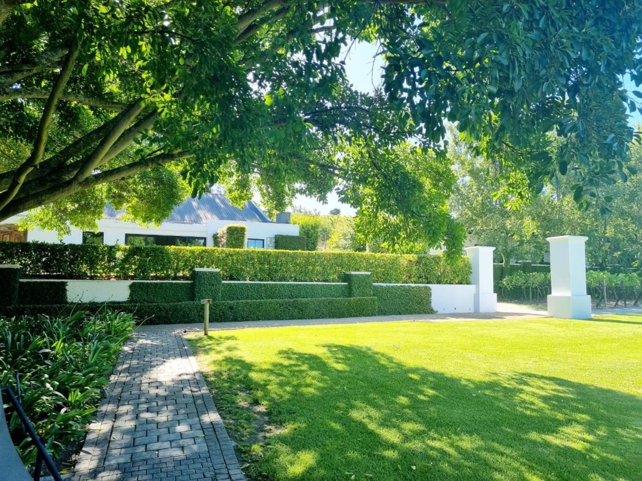 Vineyard Suite — photo 1