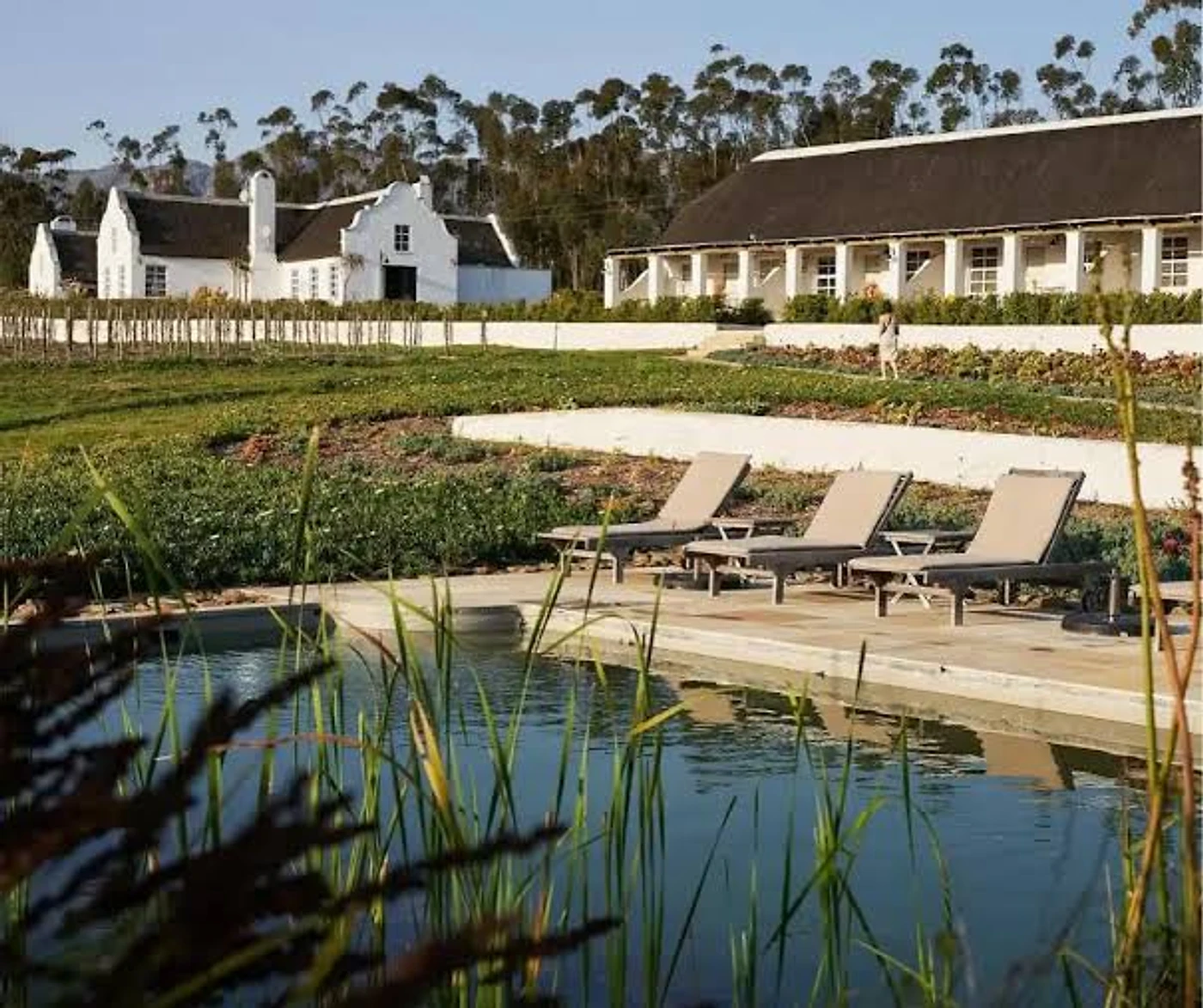 Rijk's Wine Estate — Tulbagh wine estate, Western Cape
