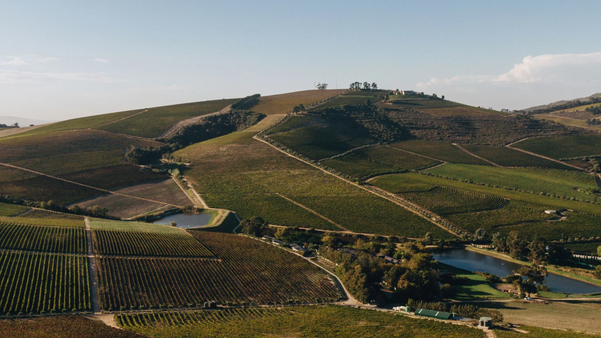 10 Best Stellenbosch Wineries this Summer