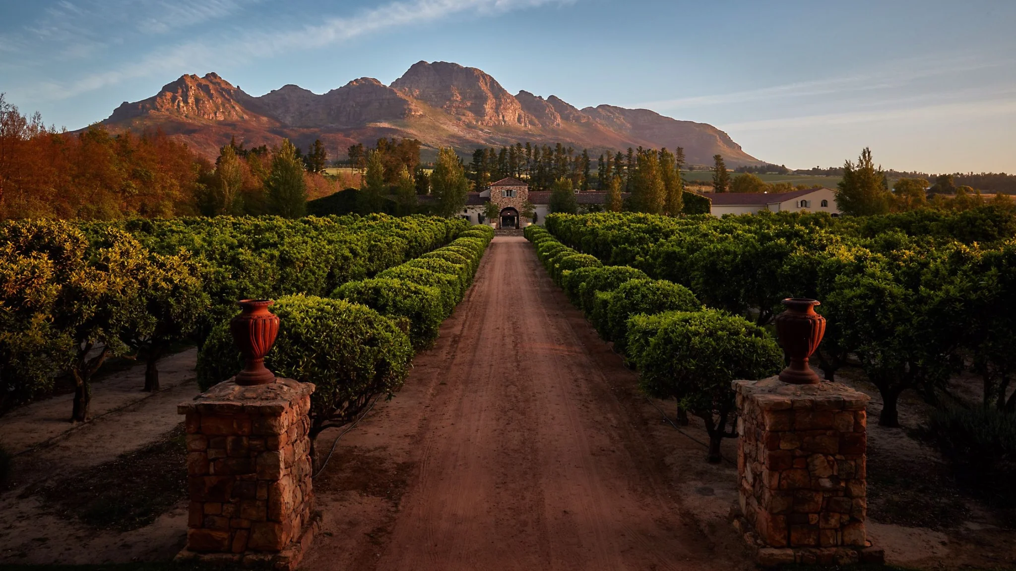 South Africa safari and wine