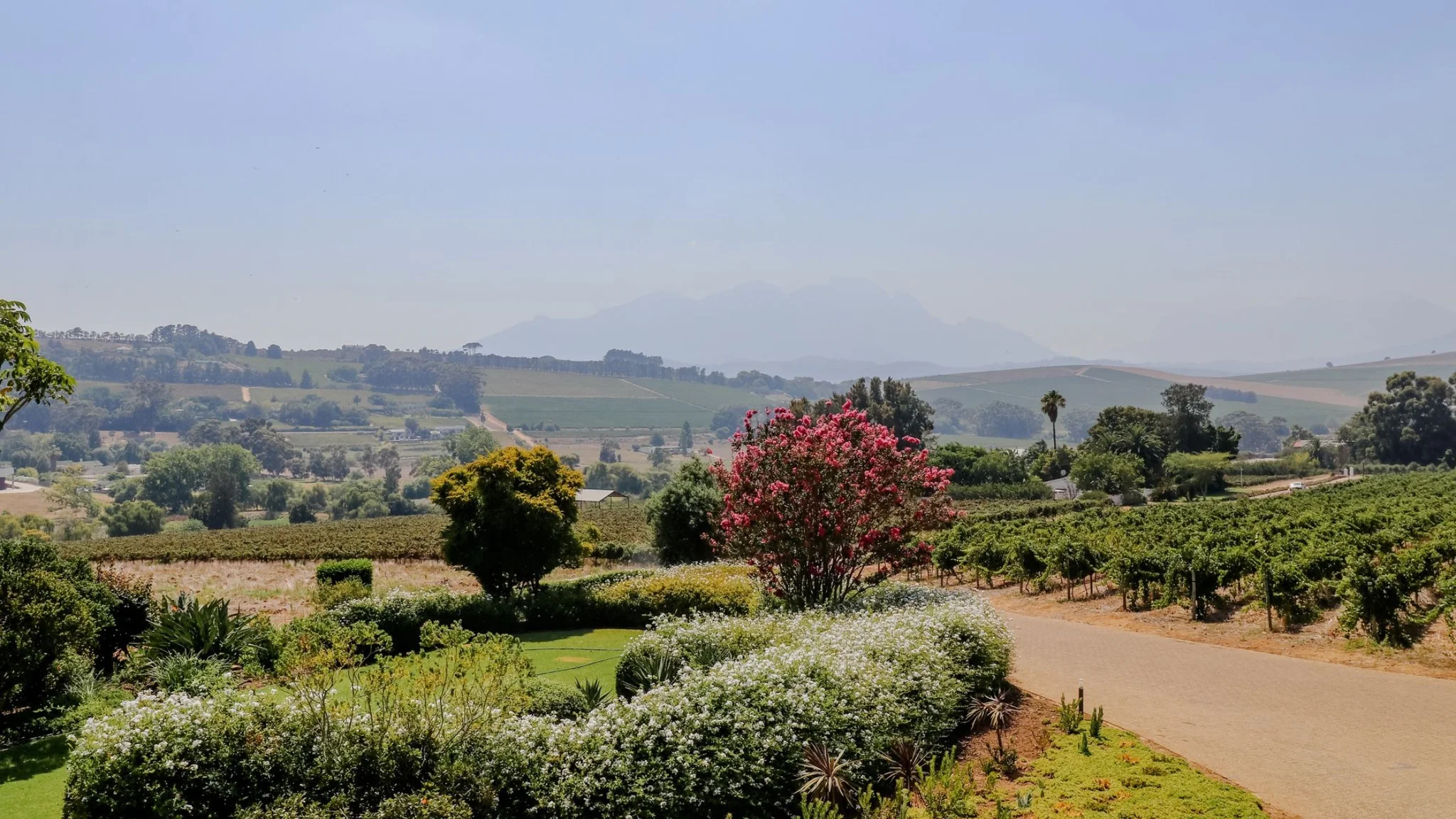 What to Expect with a Cape Winelands Wedding Venue