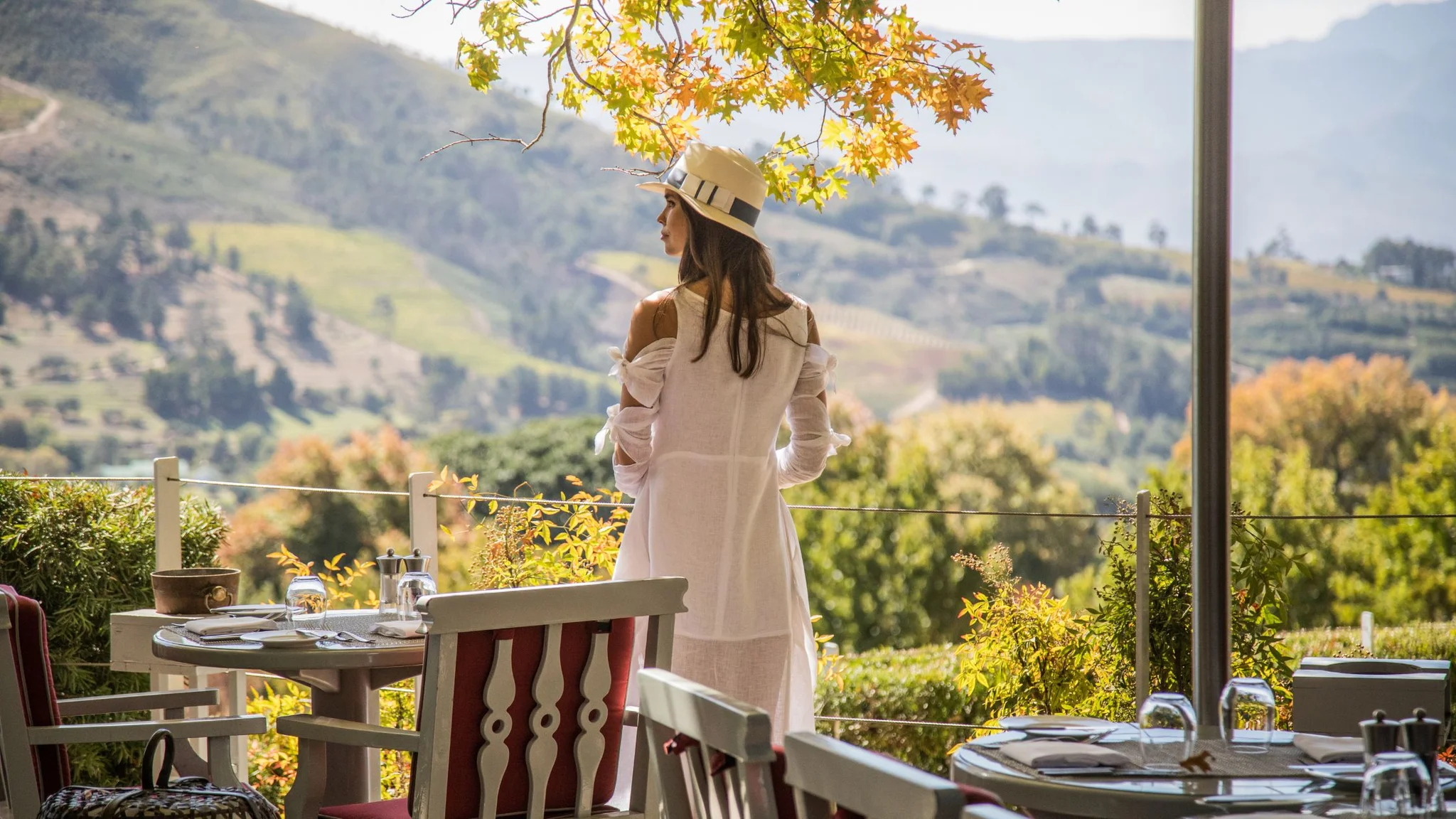 Luxury of a Private Wine Tour
