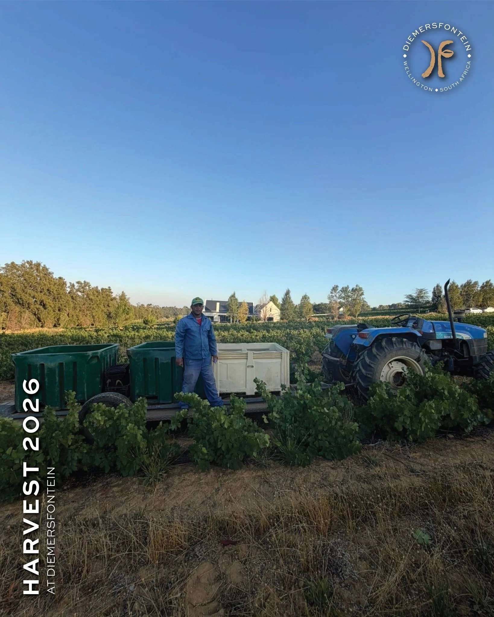 Diemersfontein Harvest Experience