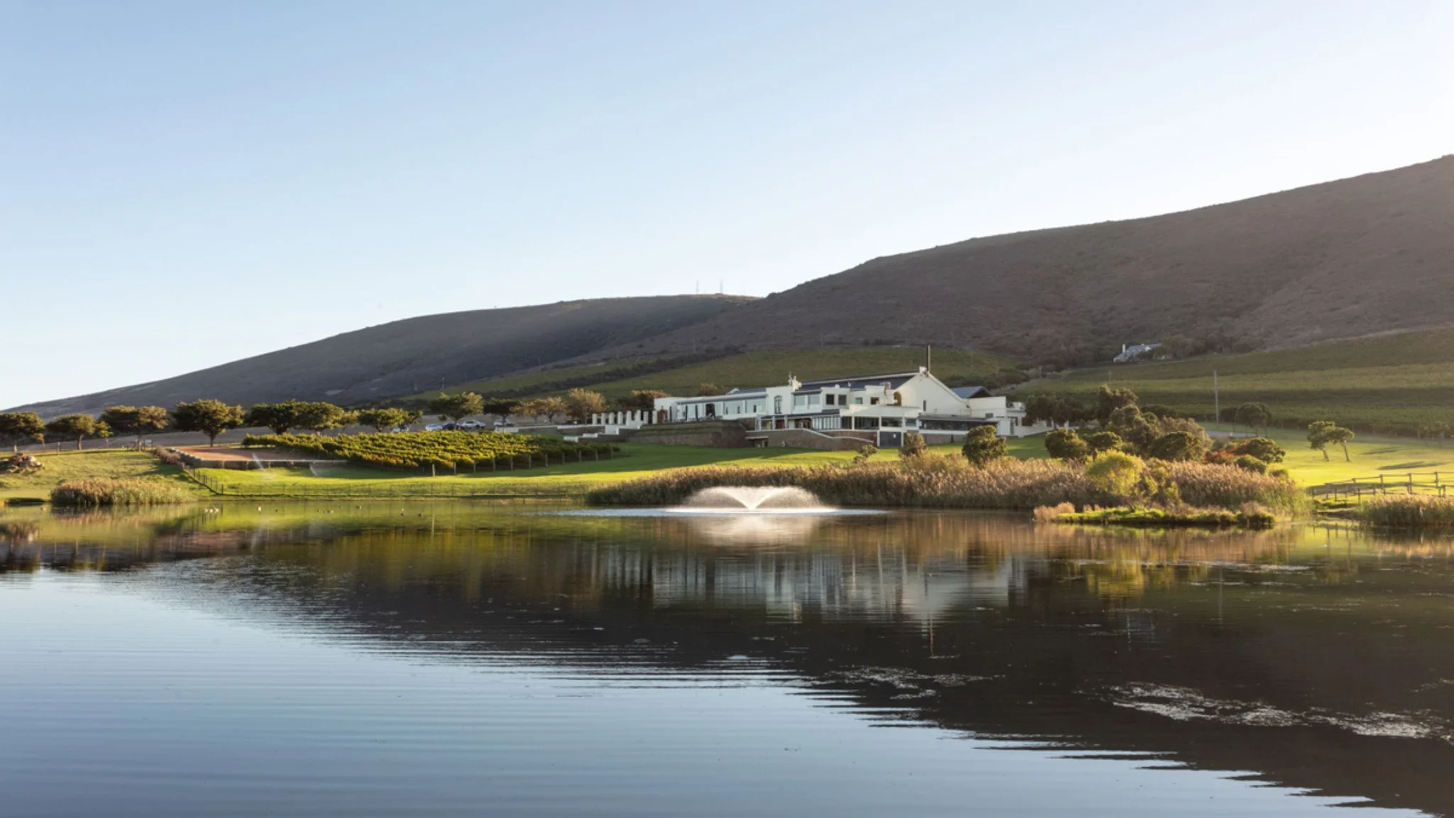 top 10 wine estates in durbanville