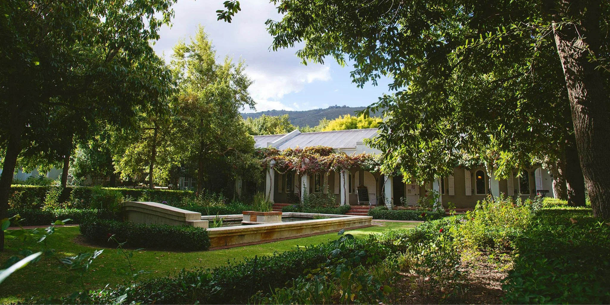 Top Wine Farms in Paarl: Fairview