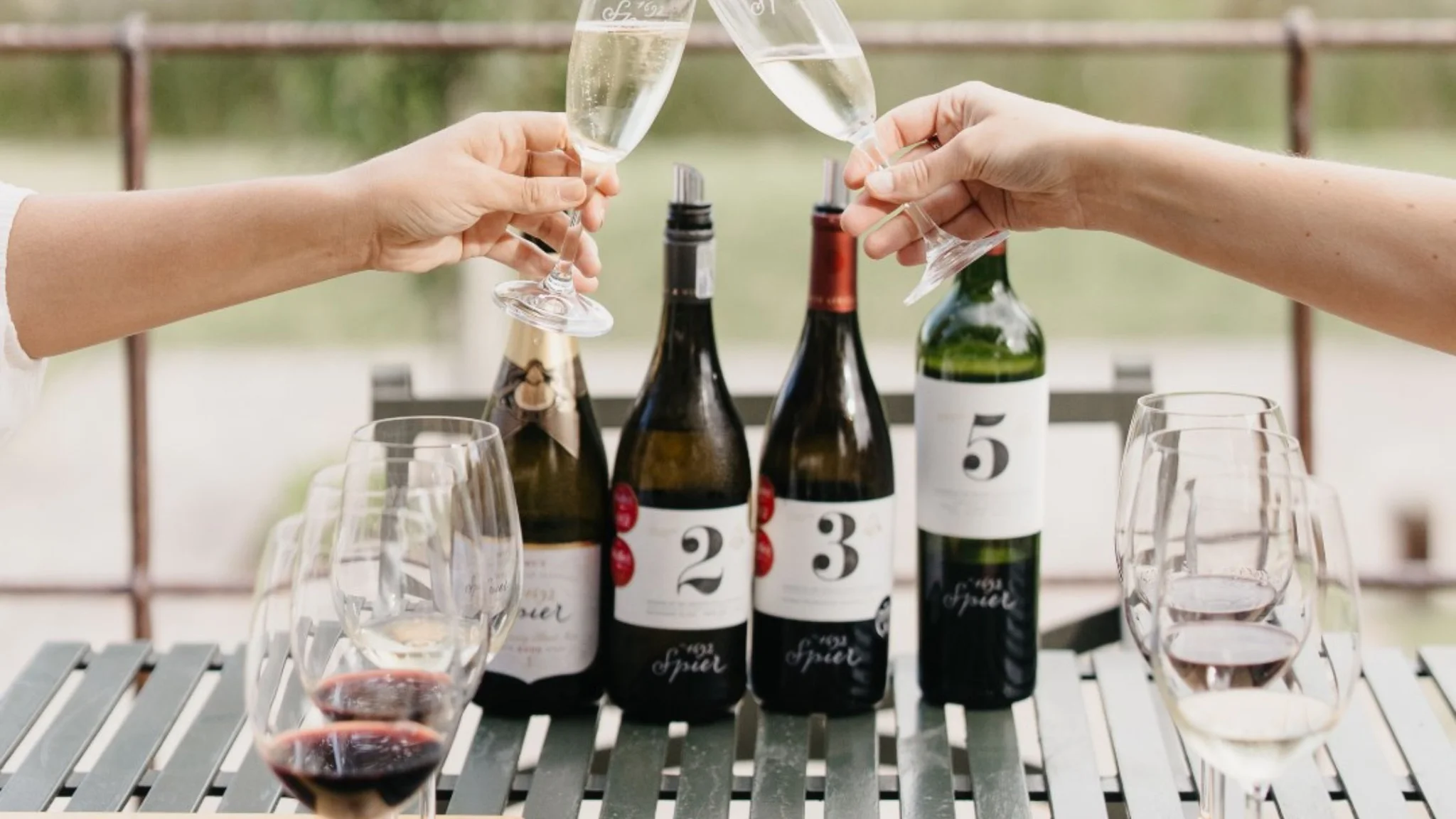Spier Wine Tasting – A Journey Through Flavour and Craft