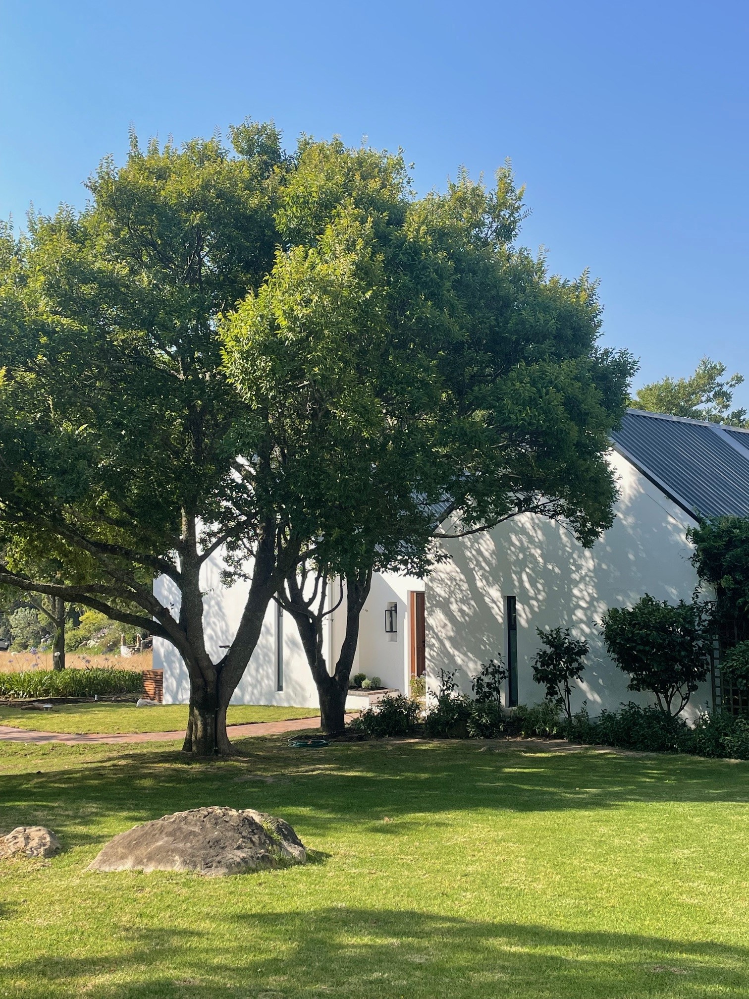 Haskell Vineyards accommodation in Stellenbosch