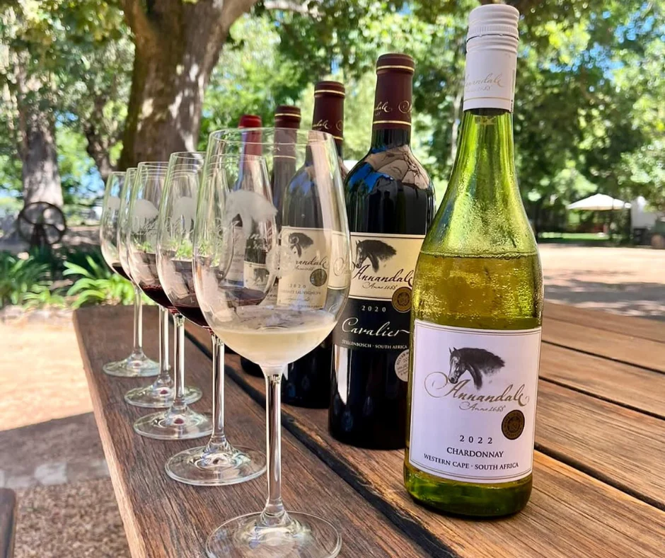 Stellenbosch Group Wine Tour Estates