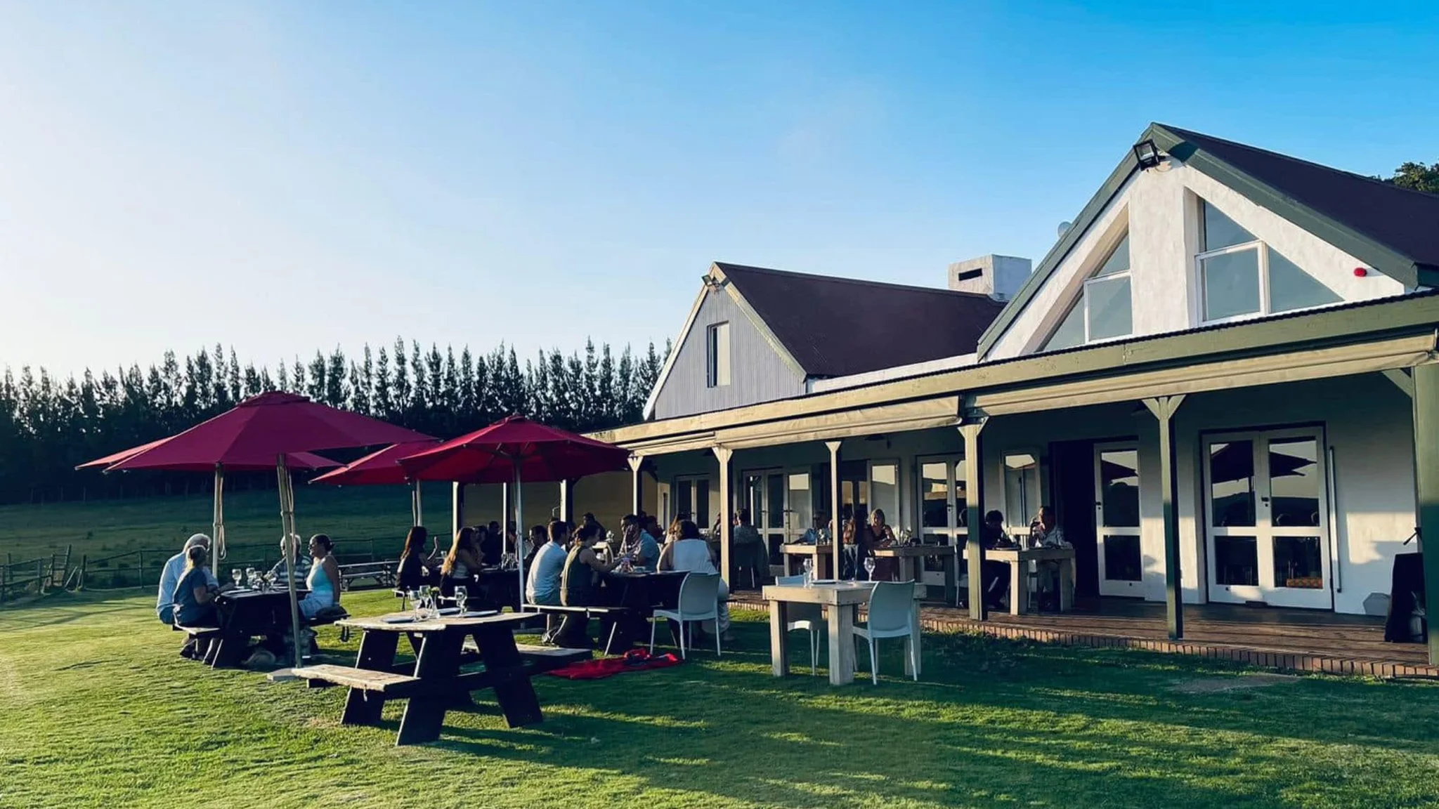 The rustic outdoor tasting area at Middelvlei Wine Estate in Stellenbosch, showing wooden tables on the lawn and the historic farm buildings