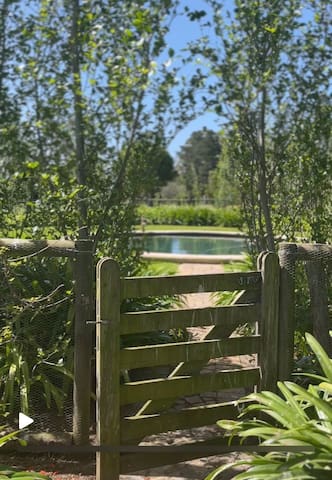 Newstead Lund Family Vineyards accommodation in Garden Route