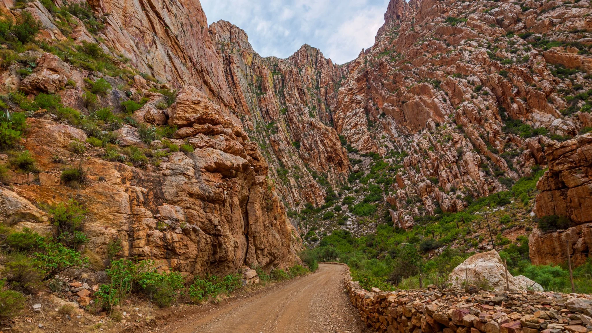 Cape Route 62 - Oudtshoorn