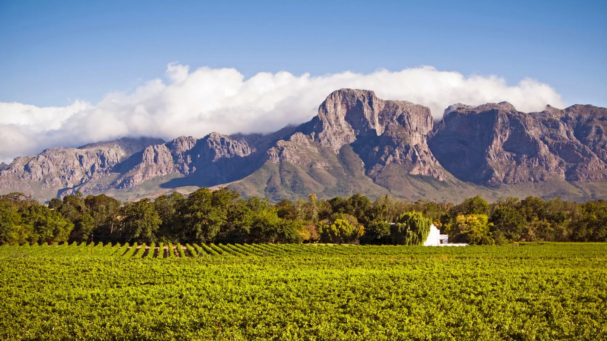 How to Plan the Perfect Cape Winelands Itinerary