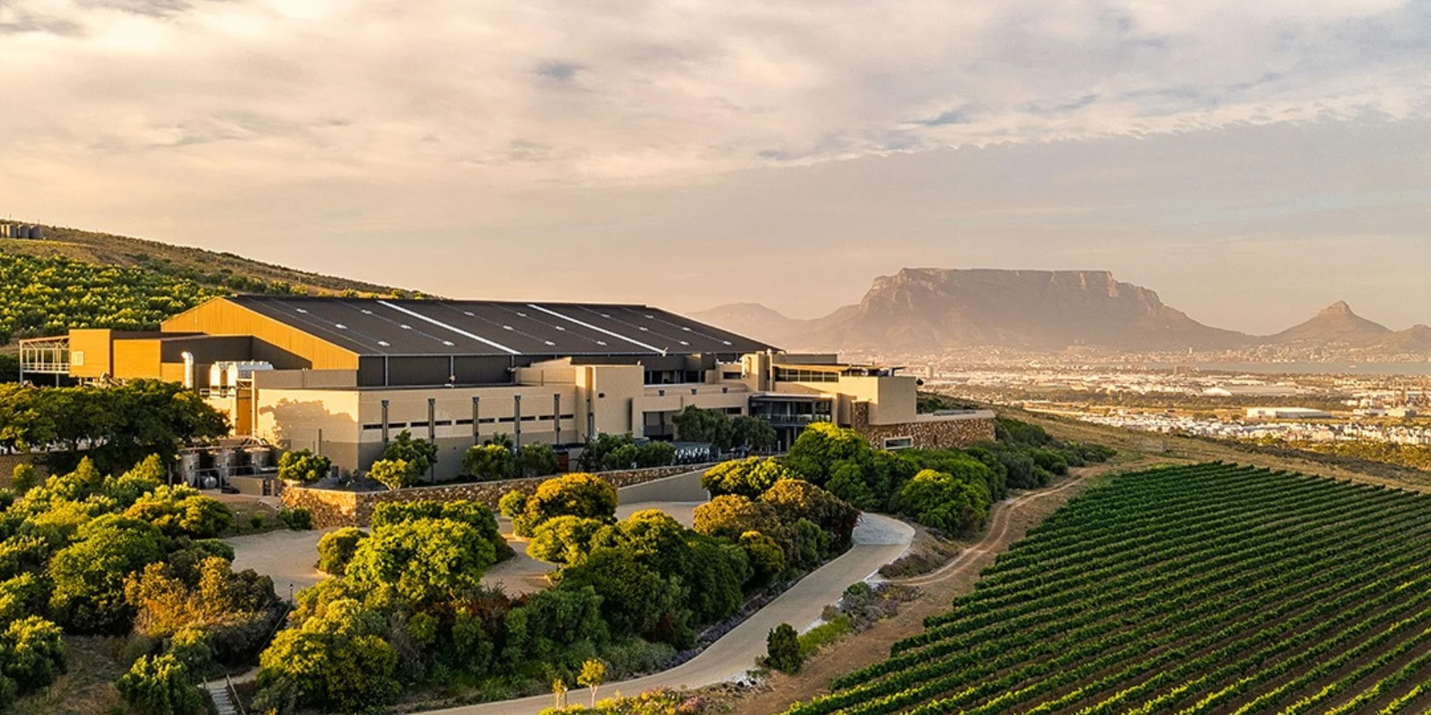 Top Wine Farms in Durbanville
