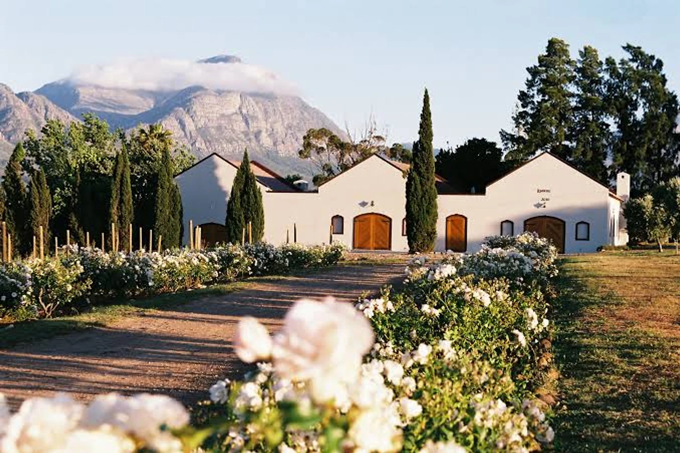 Lemberg Wine Estate — Tulbagh wine estate, Western Cape