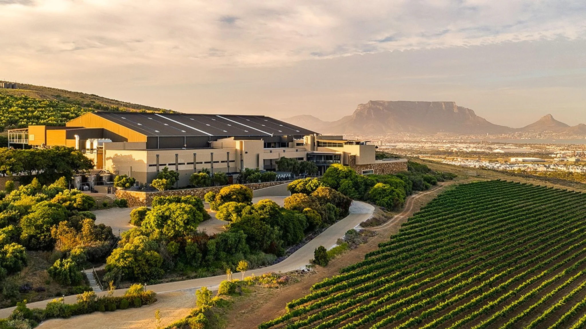 Durbanville Hills