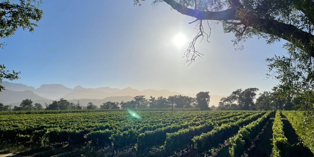 Franschhoek Wine Tour wine tour