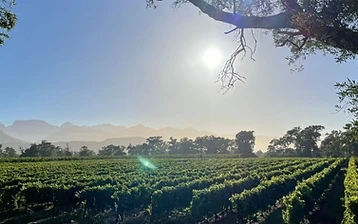 Franschhoek Wein-Tour