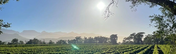 Allee Bleue Wine Estate · photo 1