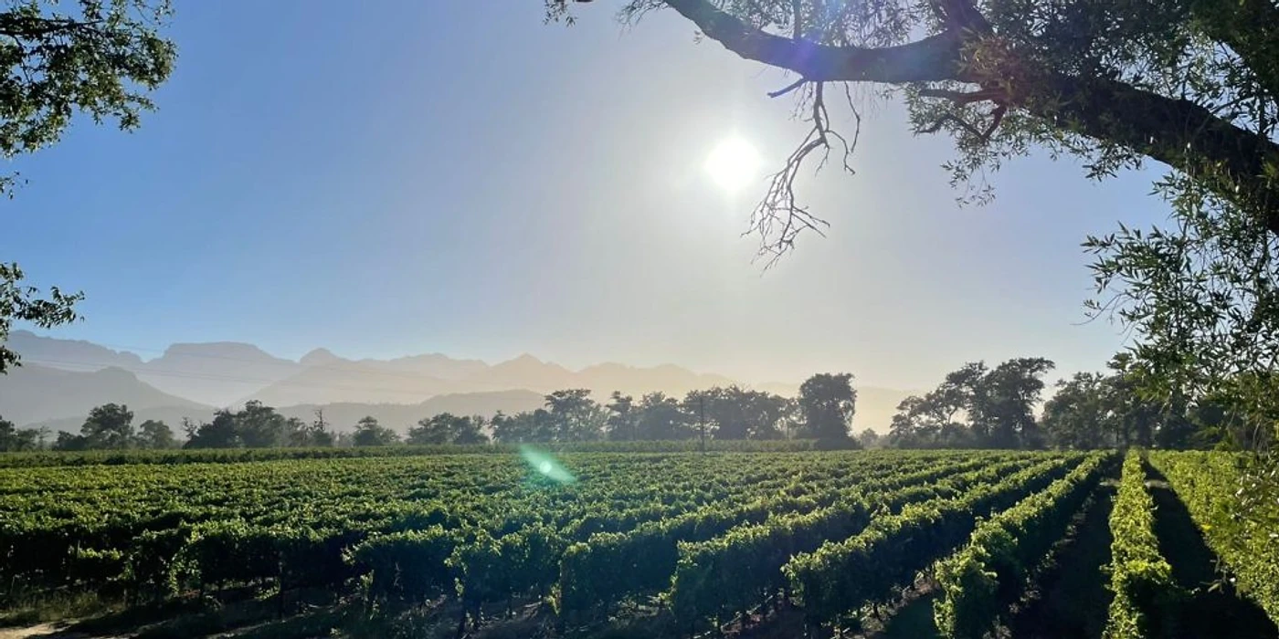 Franschhoek Wine Tour — Franschhoek wine tour