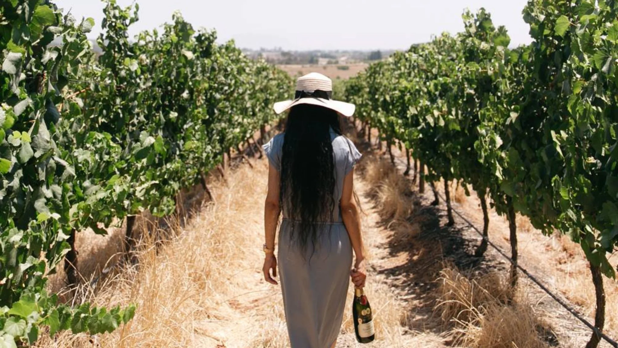The Perfect Stellenbosch and Franschhoek Day Trip