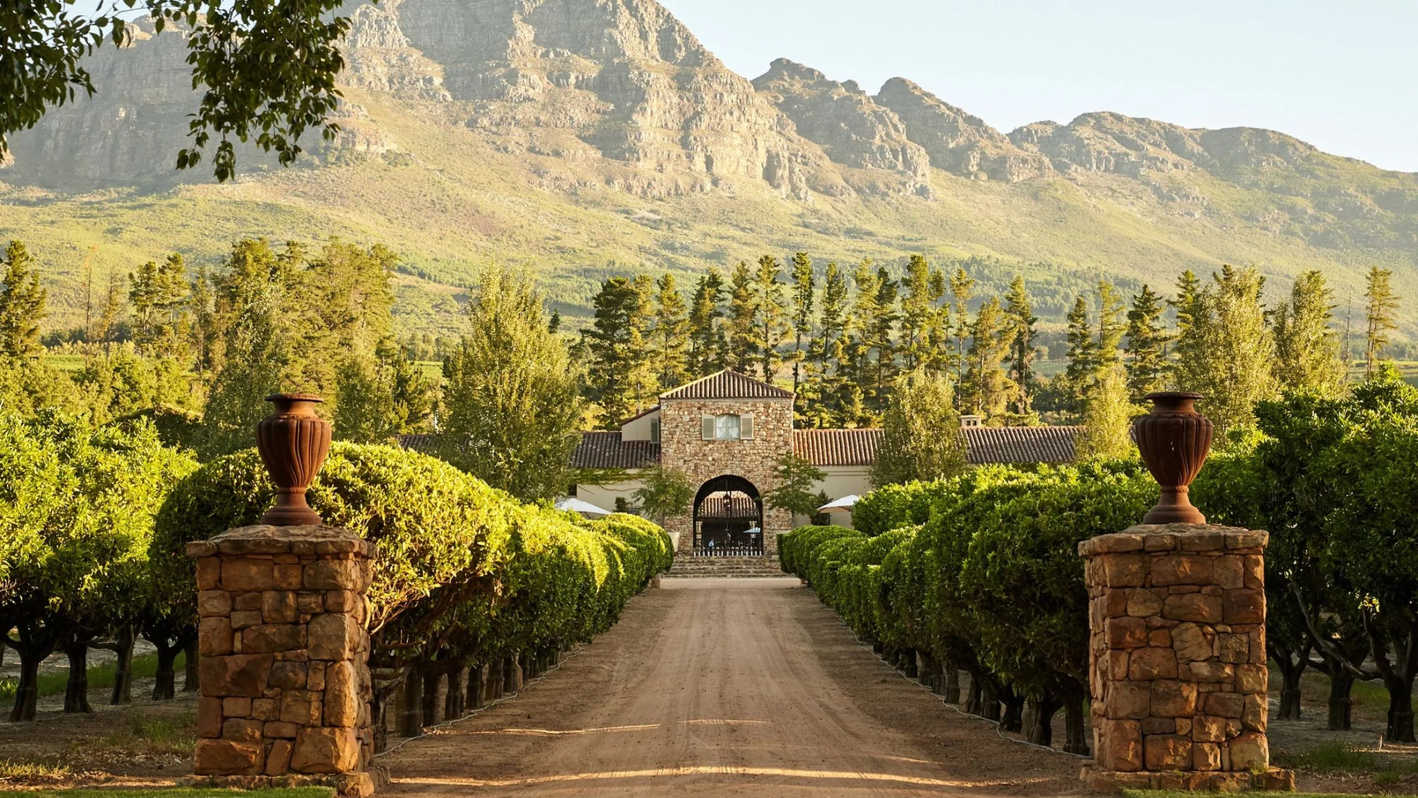 The Luxury of a Private Wine Tour in the Cape Winelands