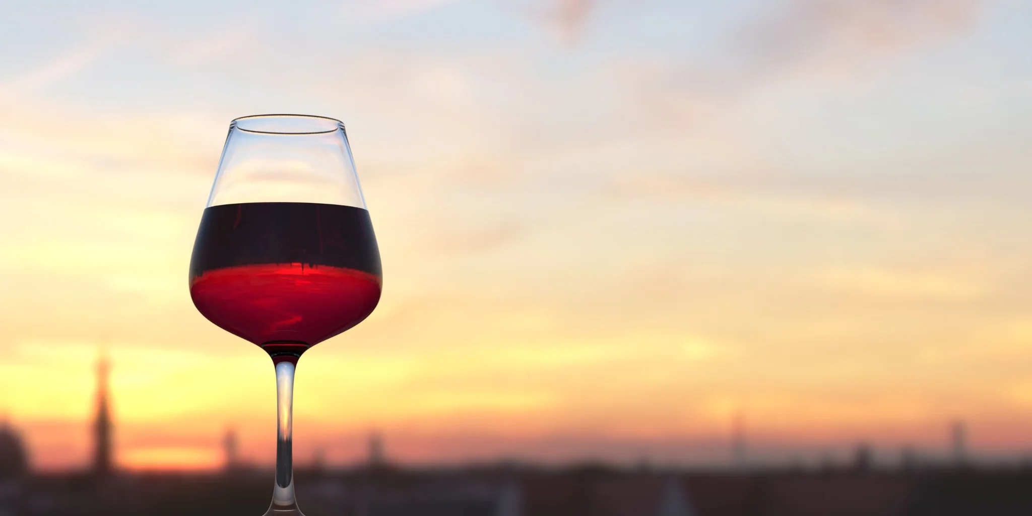 South African Wine Grape Varieties