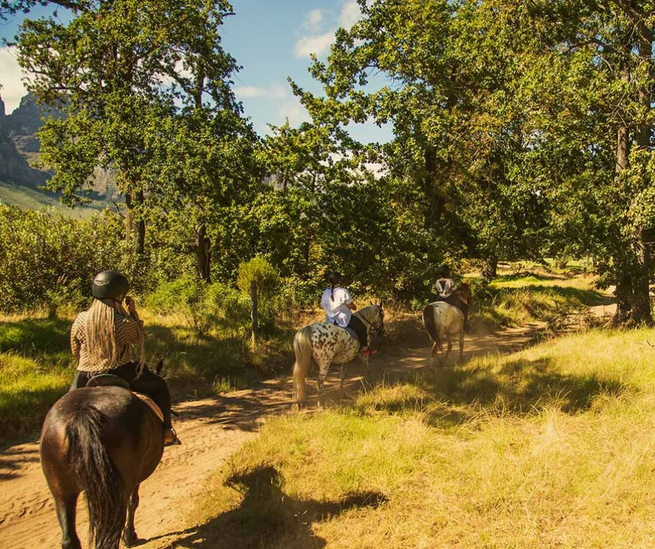 Horse riding at Boschendal