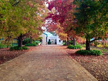 Yonder Hill Wines wine estate