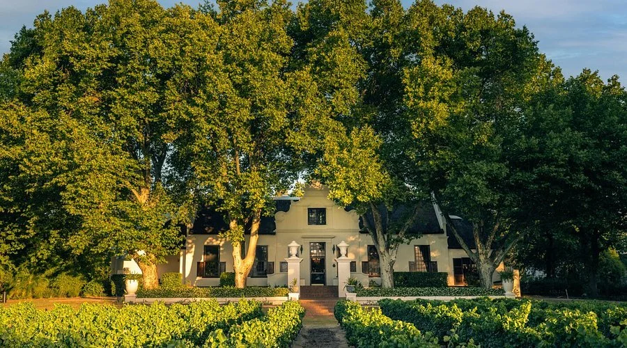 Wine Tours in Paarl: Visit Laborie, Under Oaks, and Nederburg