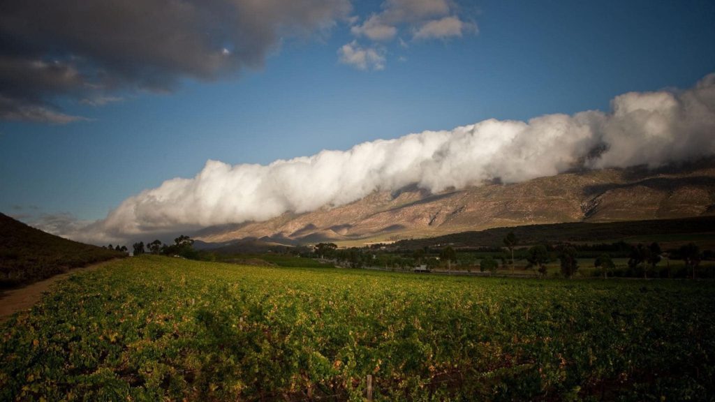 Barrydale Cellar — Klein Karoo wine estate