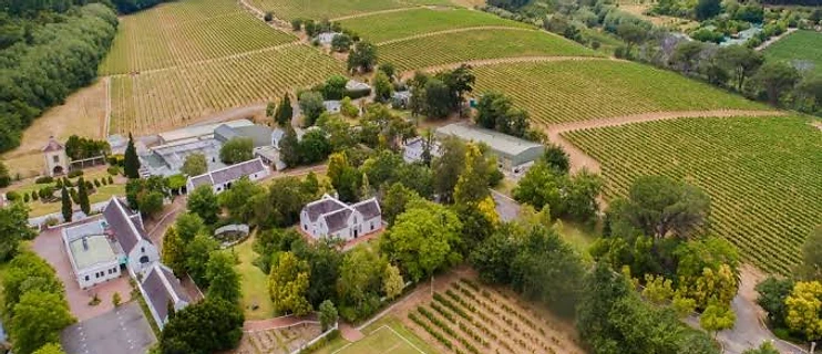 Morgenhof Wine Estate conference venue in Stellenbosch