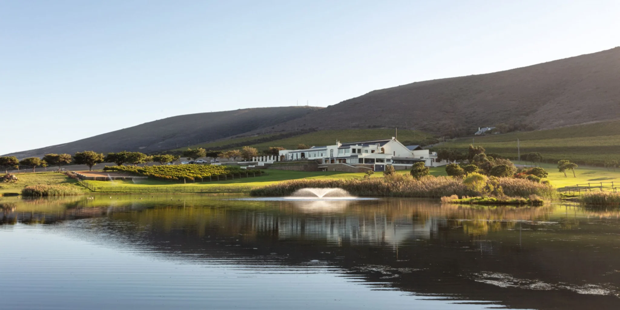 De Grendel - Top Wine Farms in Durbanville