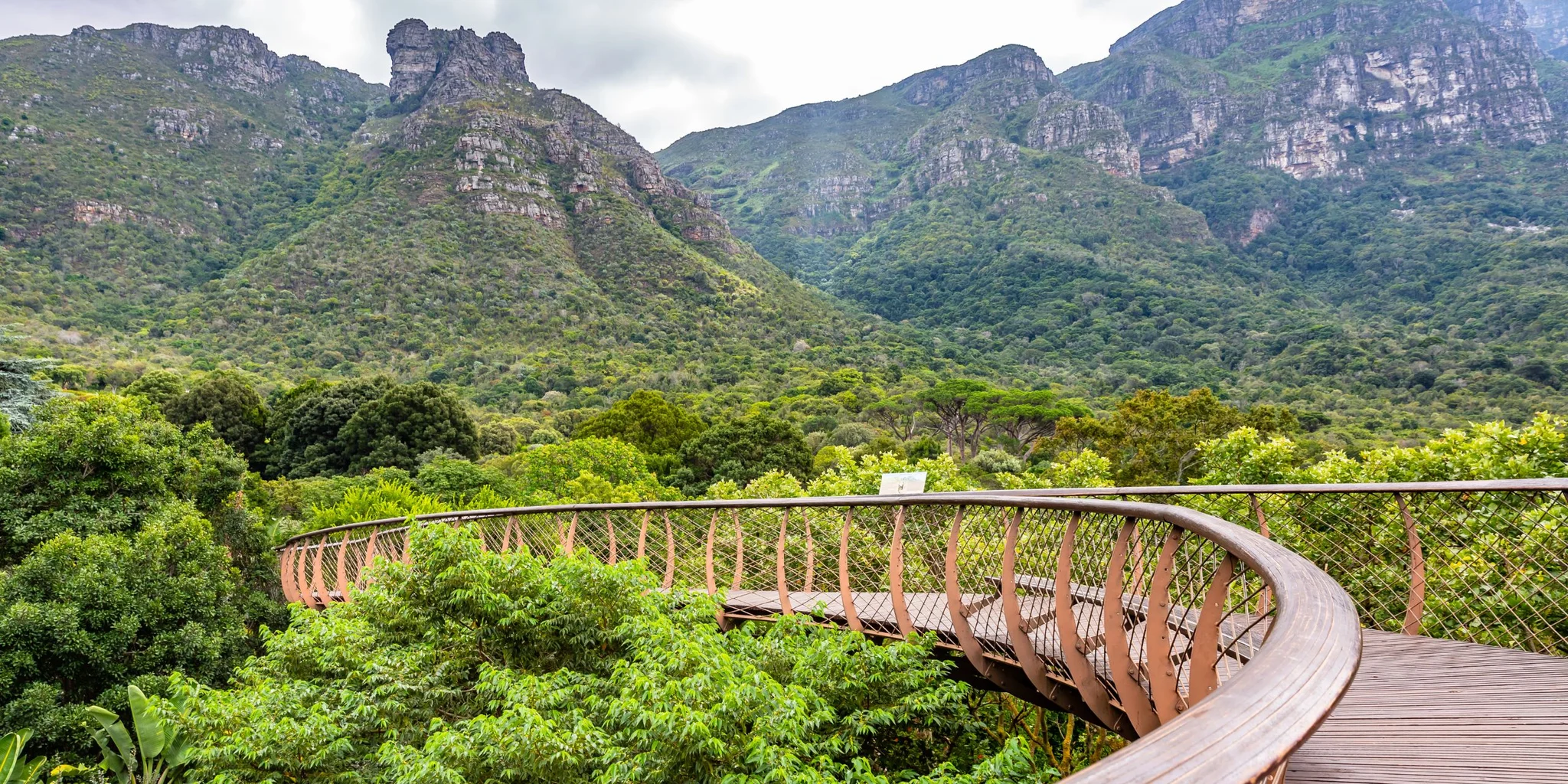 Kirstenbosch National Botanical Garden