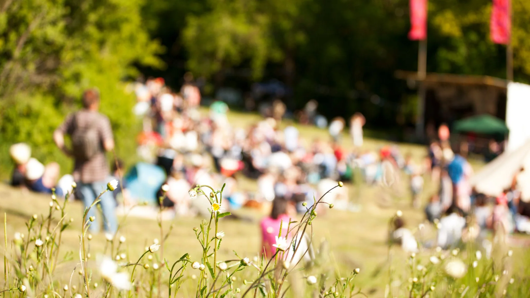 Upcoming Wine Festivals in the Cape Winelands