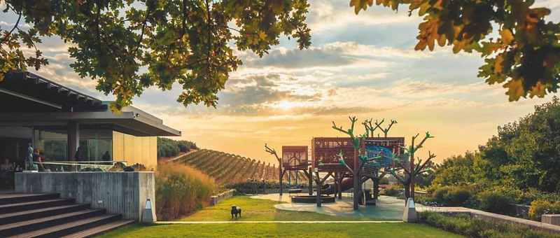 Weingut im Fokus — Tokara Estate, auf dem Kamm des Helshoogte-Passes