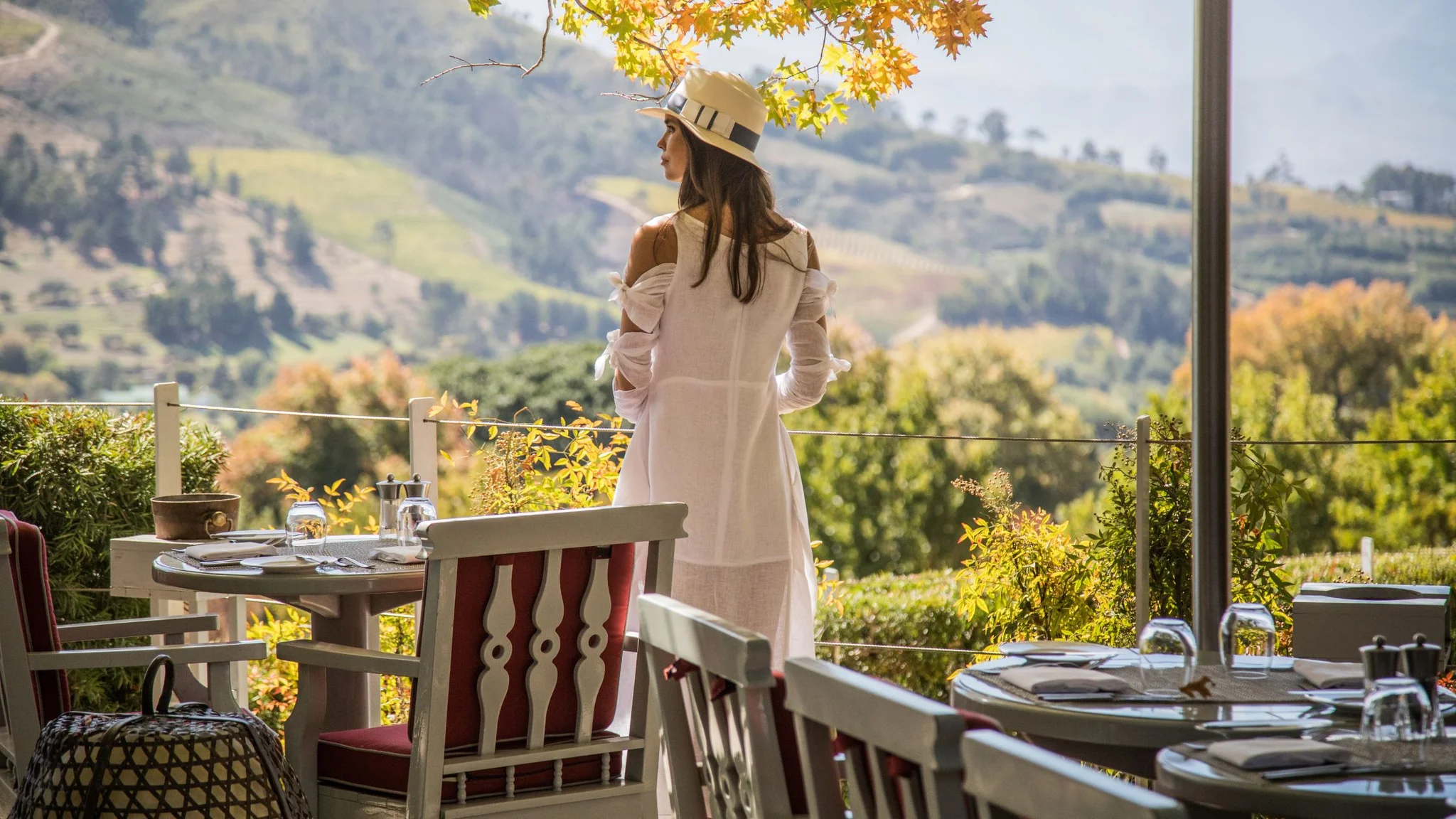 The Best Wine Farms for Lunch