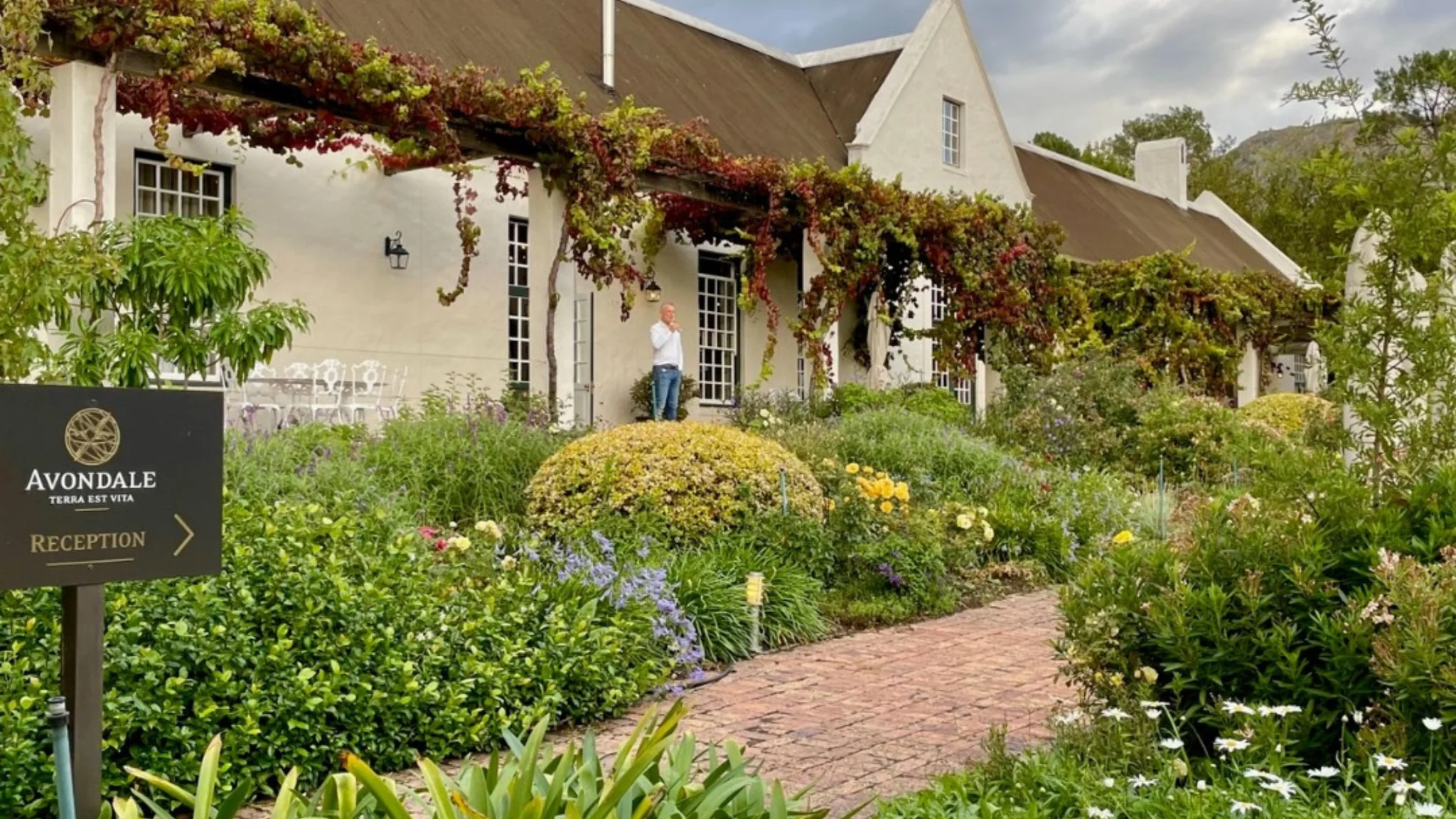 Organic and Biodynamic Wines - Avondale
