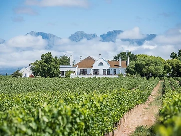 Excelsior Wine Estate accommodation in Robertson