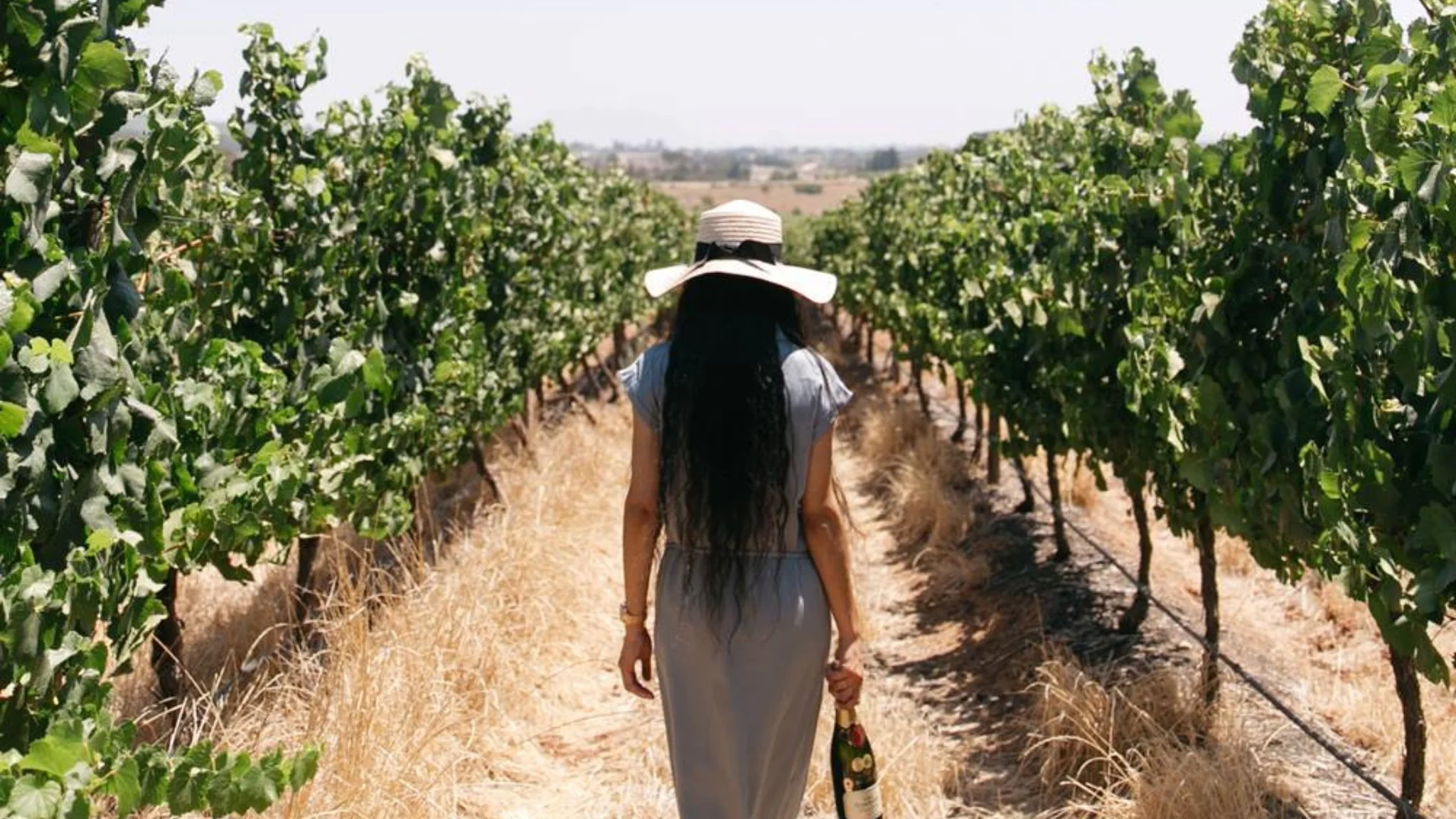Cape Winelands vs Europe: A Family Holiday Worth Taking