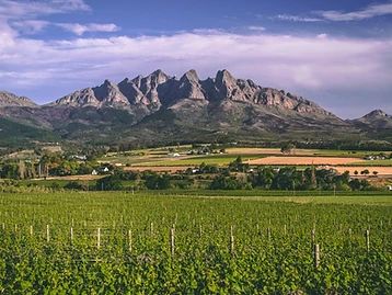 Lelienfontein – Weingut in Wellington