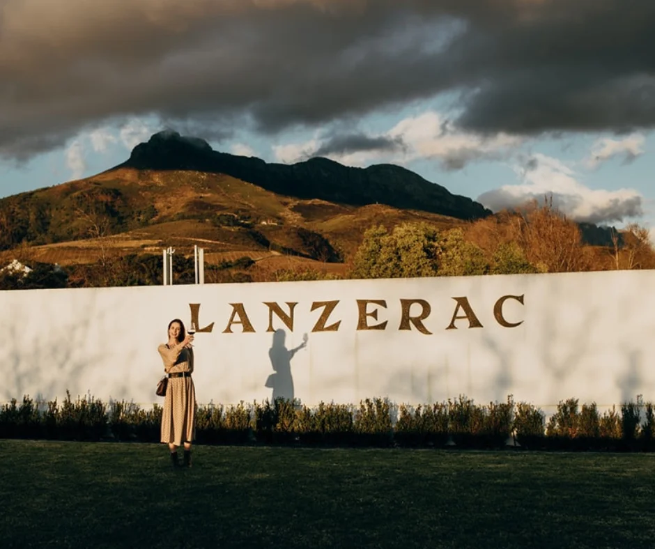Stellenbosch Wine Estates Guide