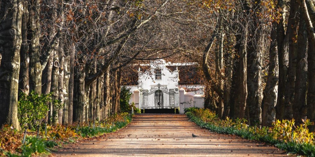 Anthonij Rupert — Franschhoek wine estate