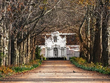 Anthonij Rupert – Weingut in Franschhoek