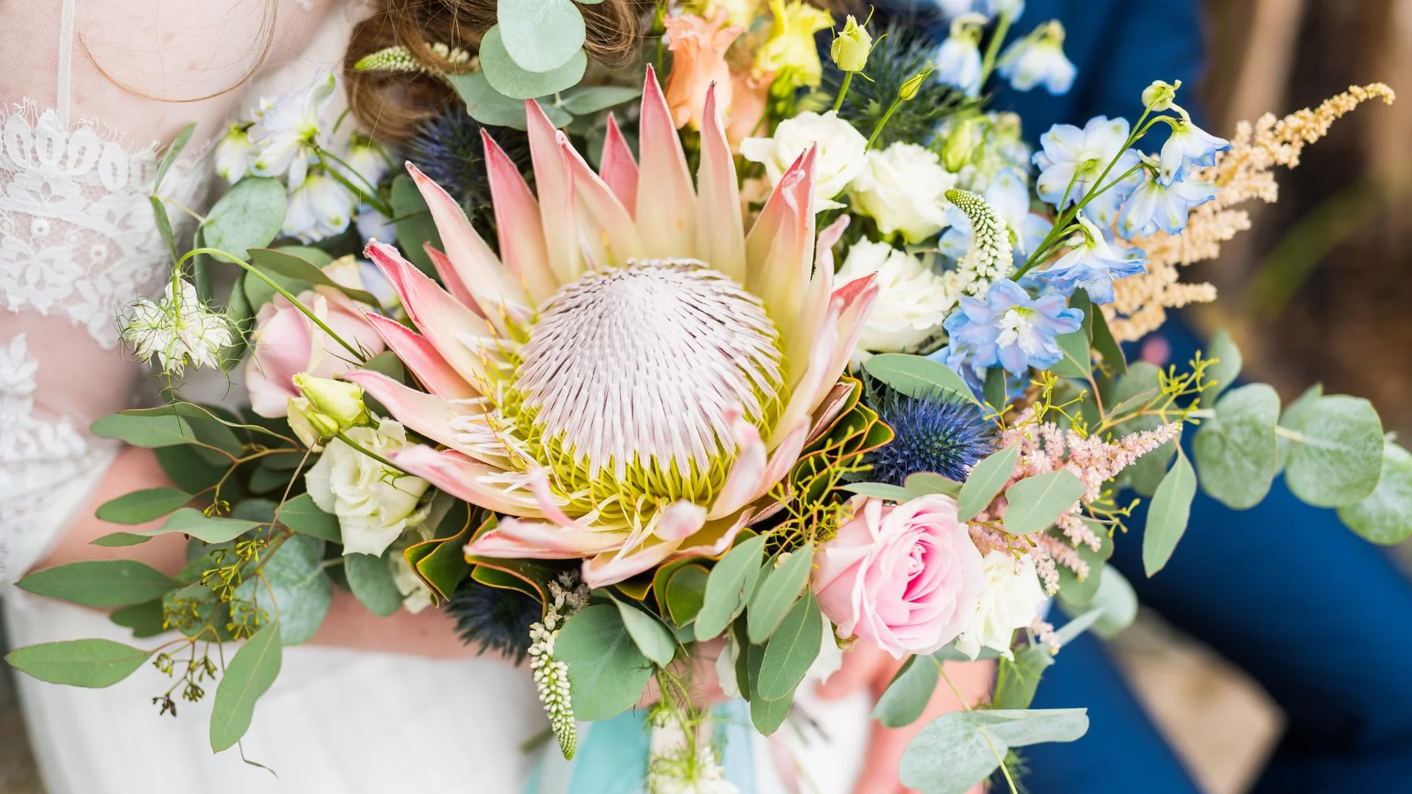 Fynbos Flowers