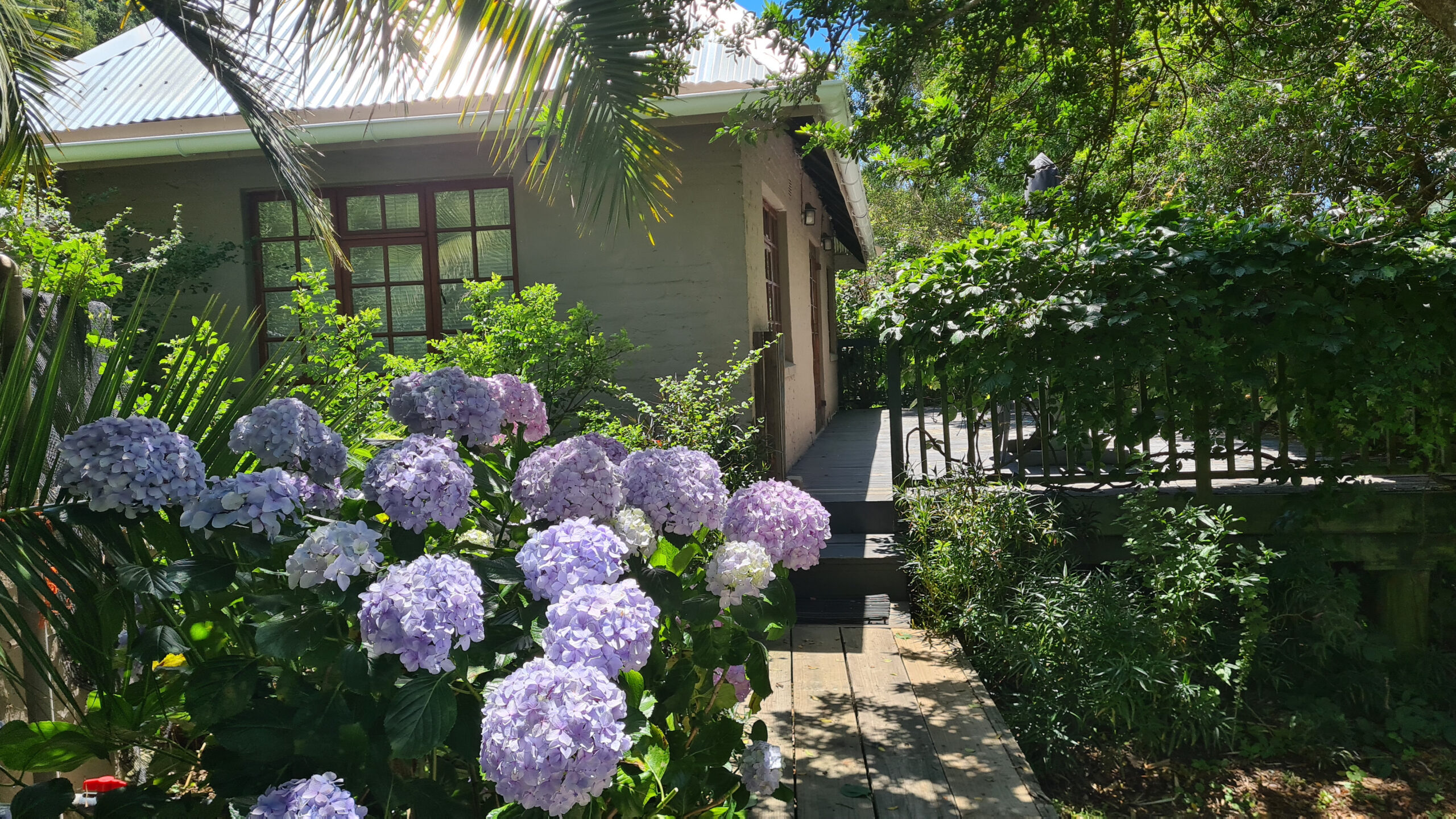 Packwood Wine and Country Estate accommodation in Garden Route