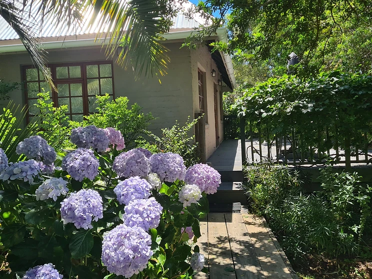 Accommodation at Packwood Wine and Country Estate in Garden Route